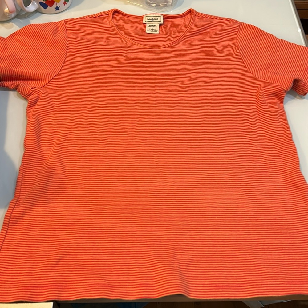 Vintage?  striped summer cotton t shirt L. L. Bean top